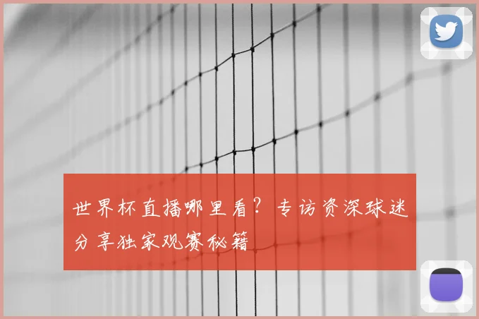 世界杯直播哪里看？专访资深球迷分享独家观赛秘籍