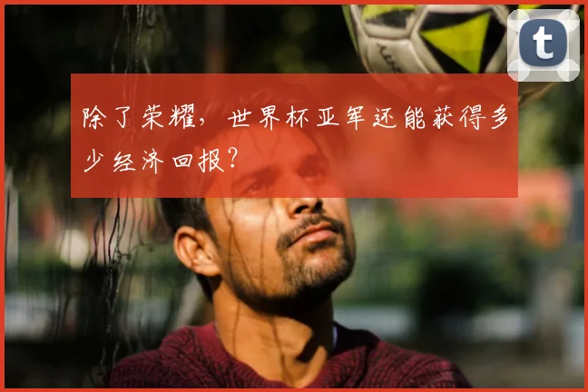 除了荣耀，世界杯亚军还能获得多少经济回报？